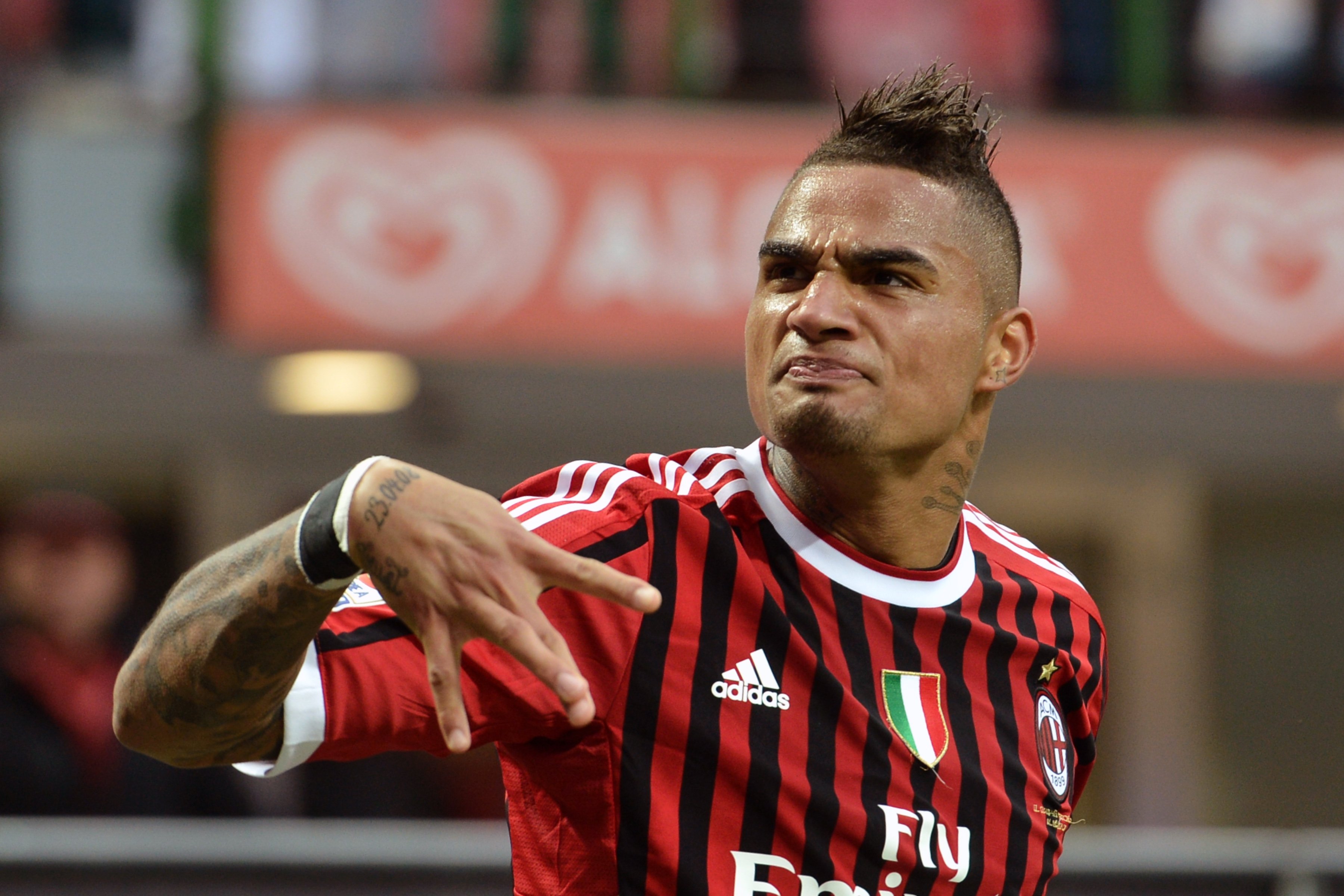 Foto del cazzo più grande del mondo